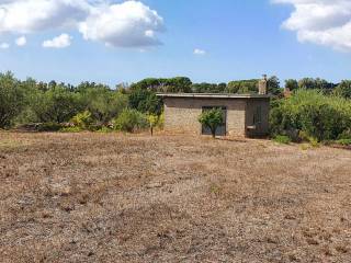 Terreno residenziale in vendita a lanuvio via delle camelie