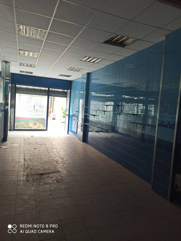 immagine annuncio 6 di 8