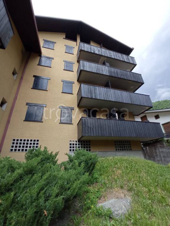 immagine annuncio 1 di 14