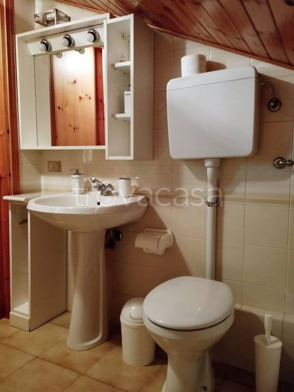 immagine annuncio 9 di 14