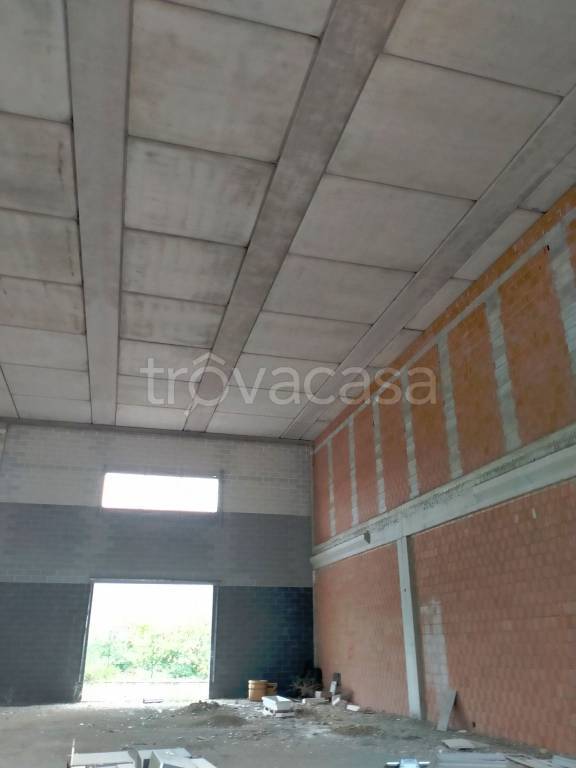 immagine annuncio 2 di 6