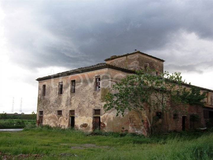 immagine annuncio 3 di 12
