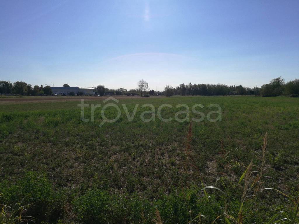 immagine annuncio 2 di 7