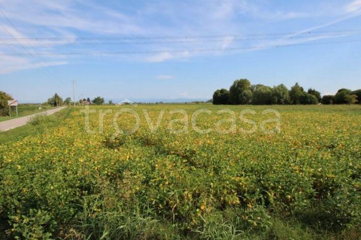 Terreno Agricolo in vendita a Cervignano del Friuli via Torat, 5