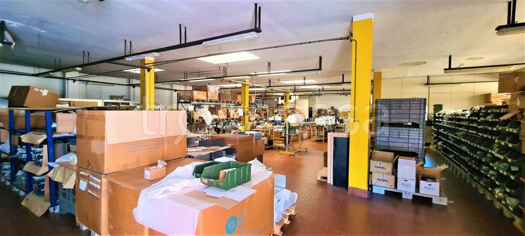 immagine annuncio 2 di 12