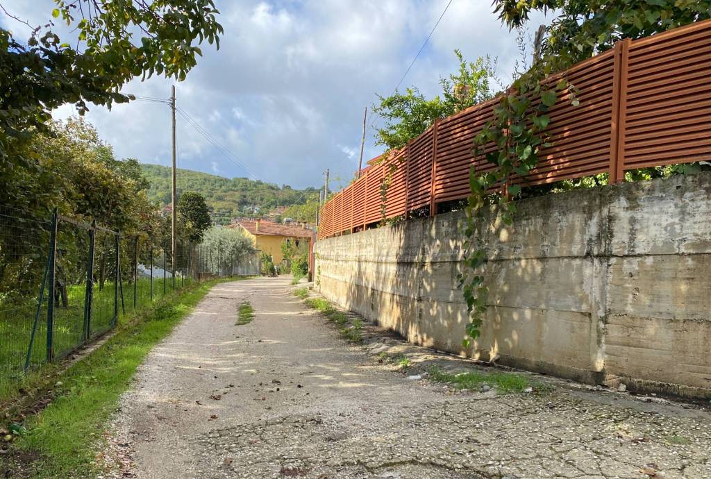 immagine annuncio 3 di 6