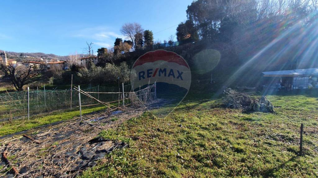 immagine annuncio 3 di 8