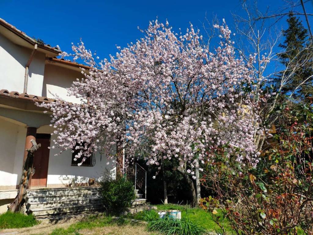 Villa Bifamiliare in vendita a Polverigi
