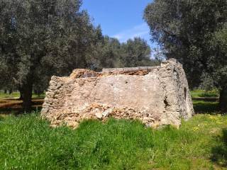 Terreno agricolo in vendita a mesagne contrada baccone