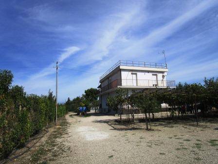 immagine annuncio 8 di 11