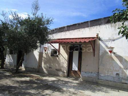 immagine annuncio 9 di 11