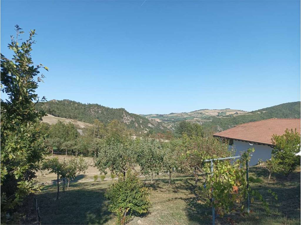 Azienda Agricola in vendita a Pianello Val Tidone via Case Rebuffi, n/a