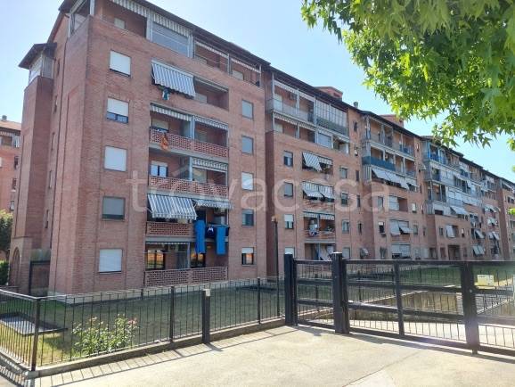 Appartamento in in vendita da privato a Grugliasco via Bruno Buozzi, 33
