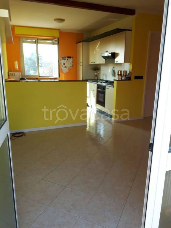 Appartamento in in vendita da privato a Campoformido via Regina Elena, 11