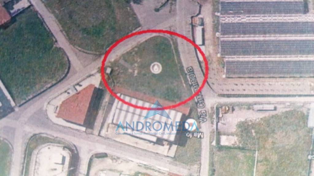 immagine annuncio 2 di 3