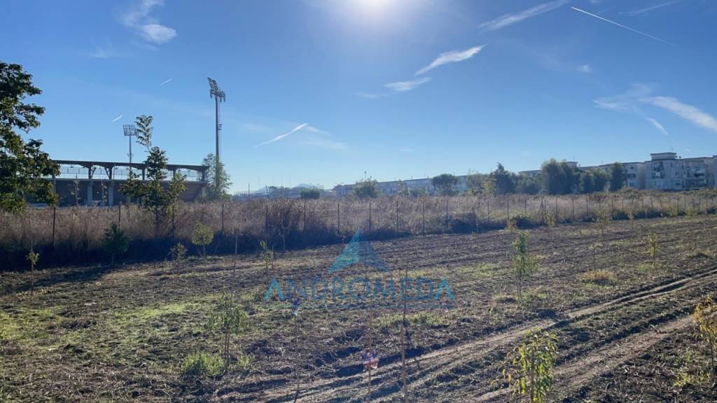 Terreno Agricolo in vendita a Giugliano in Campania giugliano