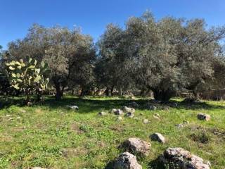 Terreno agricolo in vendita a sortino contrada serramezzana