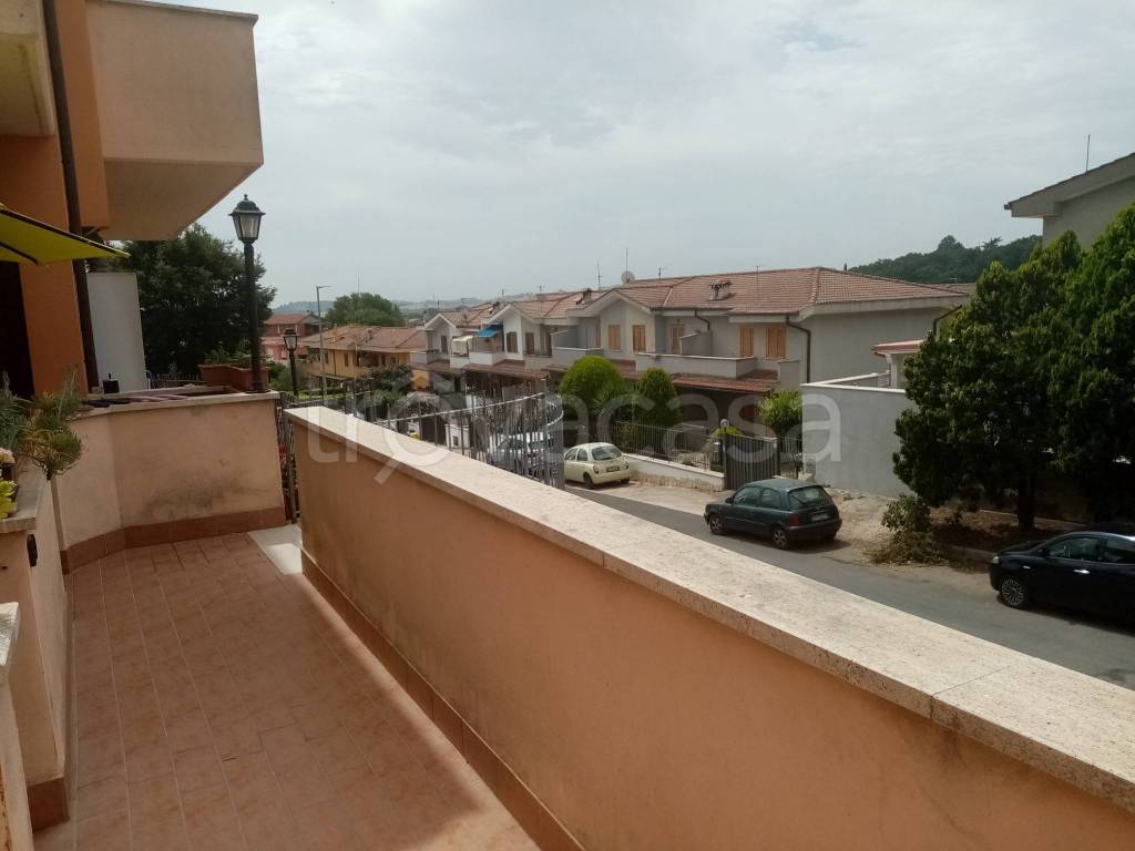 immagine annuncio 7 di 14