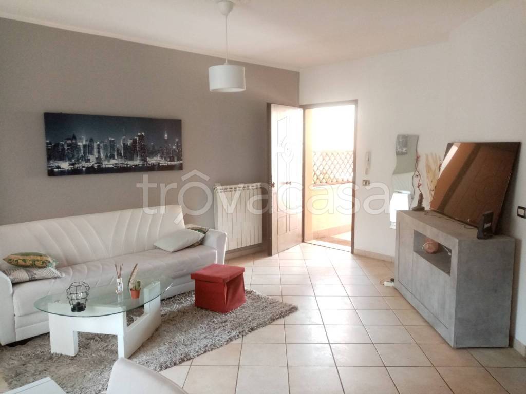 immagine annuncio 10 di 14