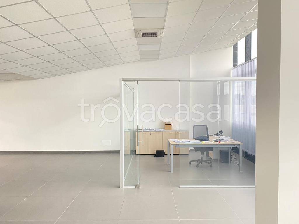 immagine annuncio 7 di 12