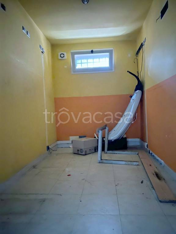 immagine annuncio 6 di 12