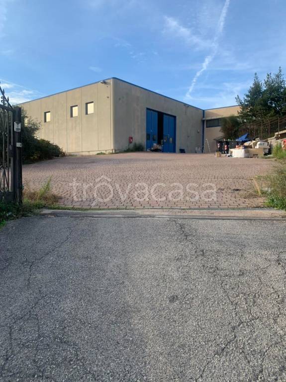 immagine annuncio 8 di 14