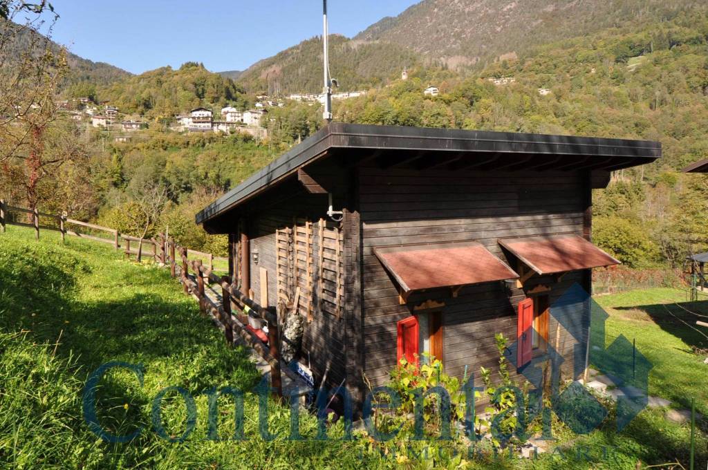 immagine annuncio 11 di 13