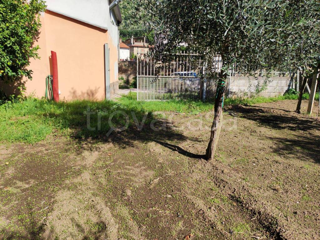 Terreno Agricolo in vendita a Caserta via Pozzo