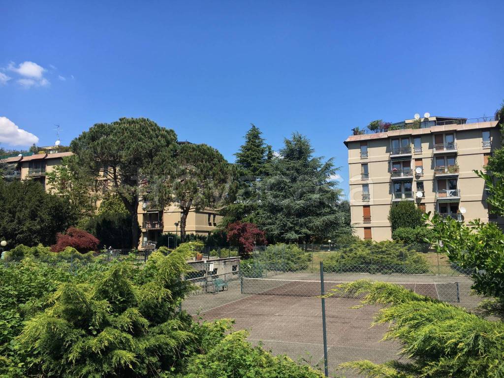 immagine annuncio 3 di 14