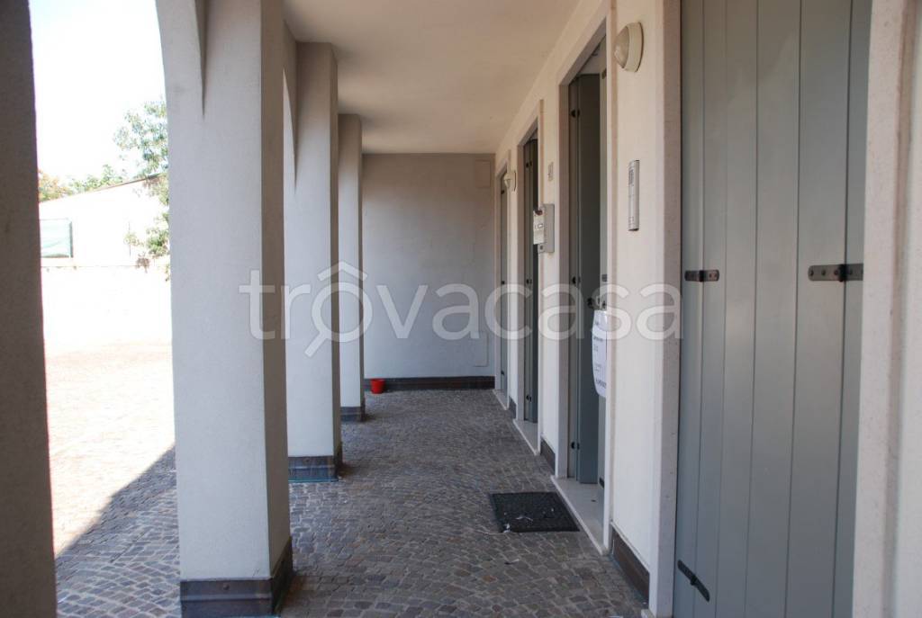 immagine annuncio 4 di 9