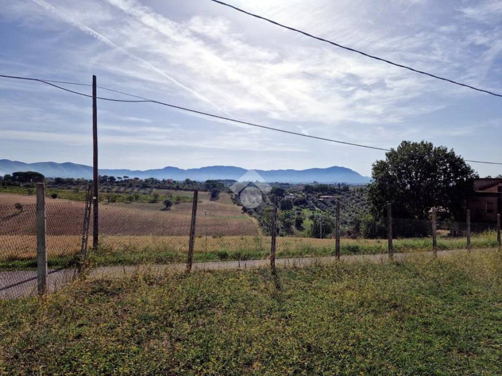 immagine annuncio 5 di 8