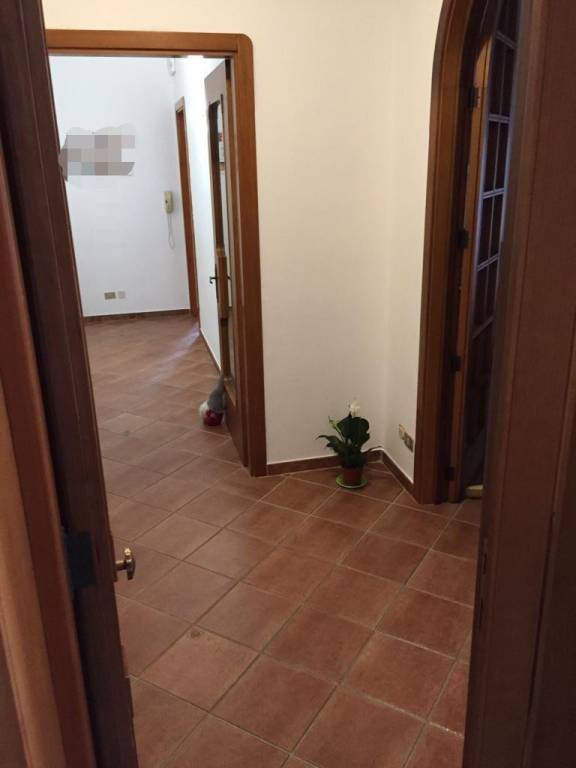 Appartamento in in vendita da privato a San Cesario di Lecce via Puglia