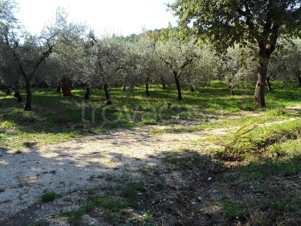 Terreno Agricolo in vendita a Minturno via Monte di Scauri