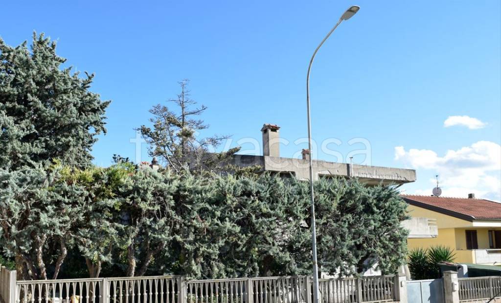 immagine annuncio 3 di 12