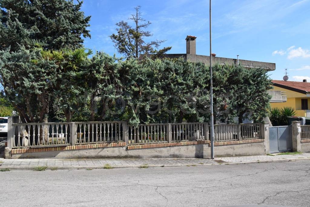 immagine annuncio 5 di 12