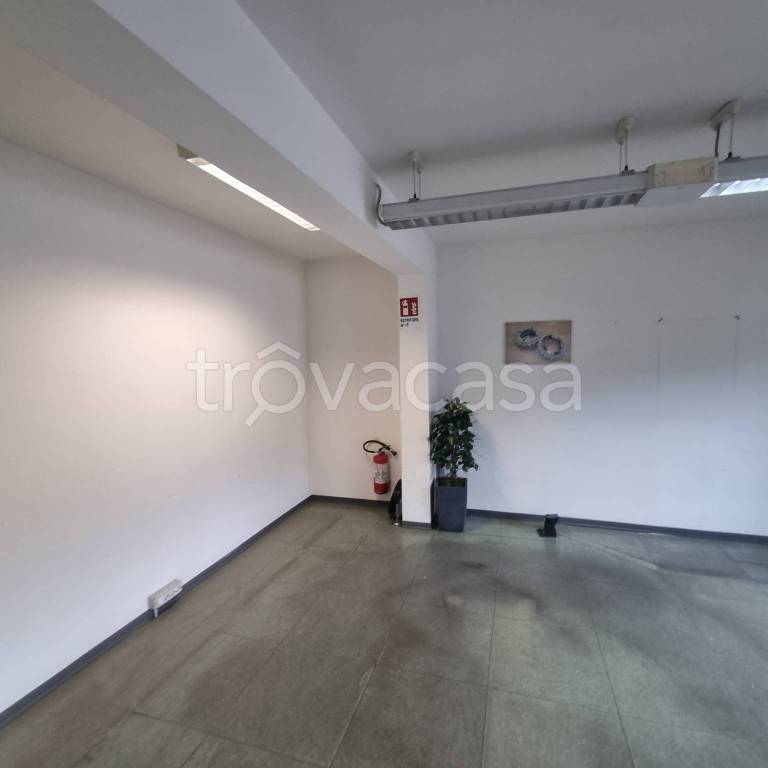 immagine annuncio 8 di 14