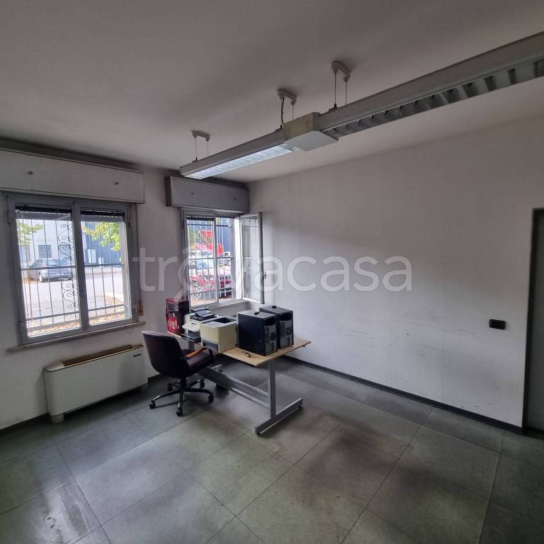 immagine annuncio 4 di 14