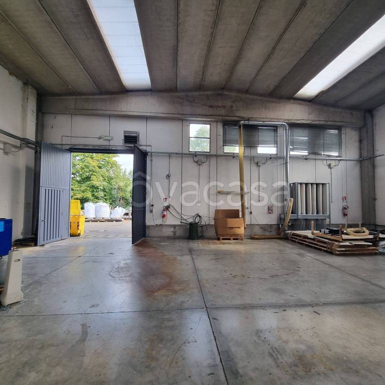 immagine annuncio 5 di 14