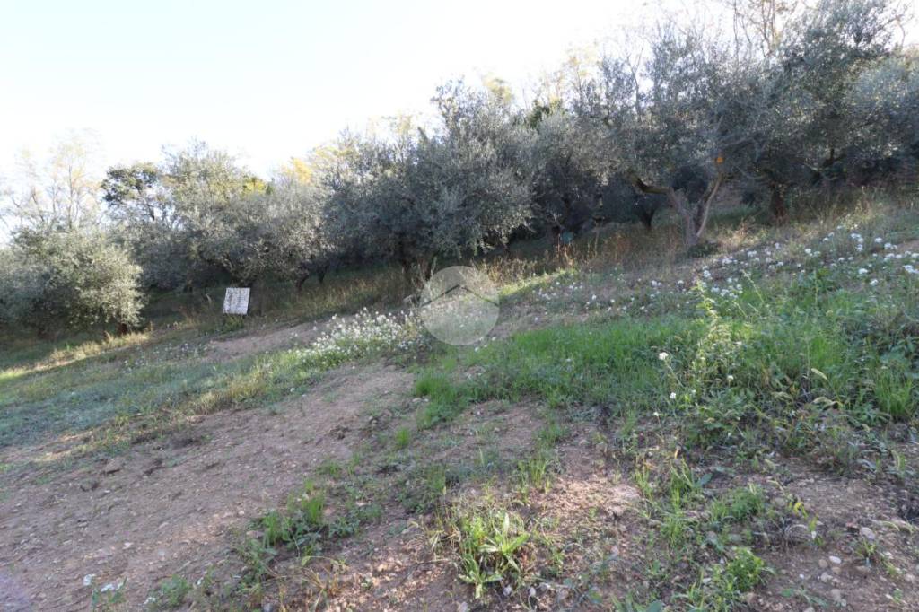 immagine annuncio 8 di 13