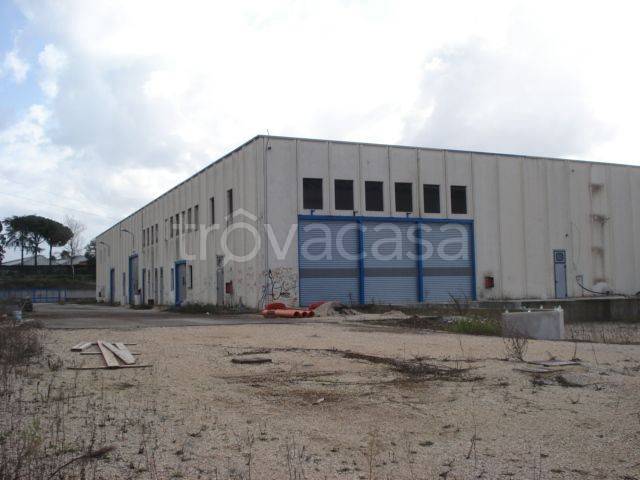 Capannone Industriale in in vendita da privato a Pomezia via Laurentina, 25