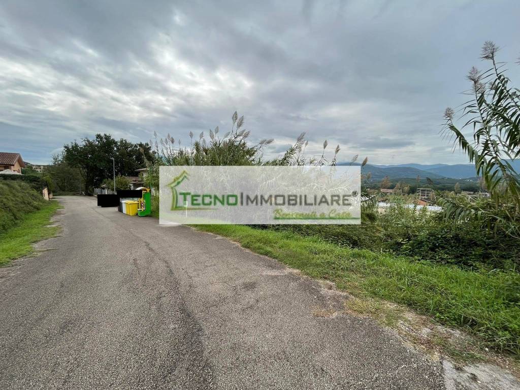 immagine annuncio 2 di 7
