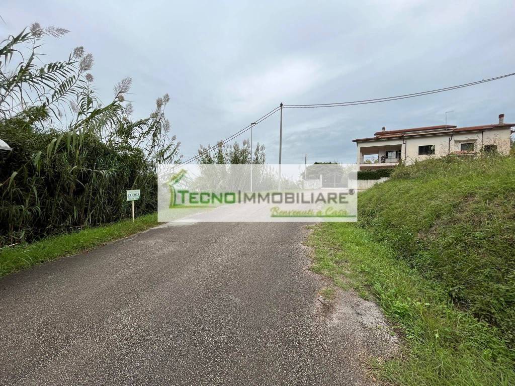 immagine annuncio 5 di 7