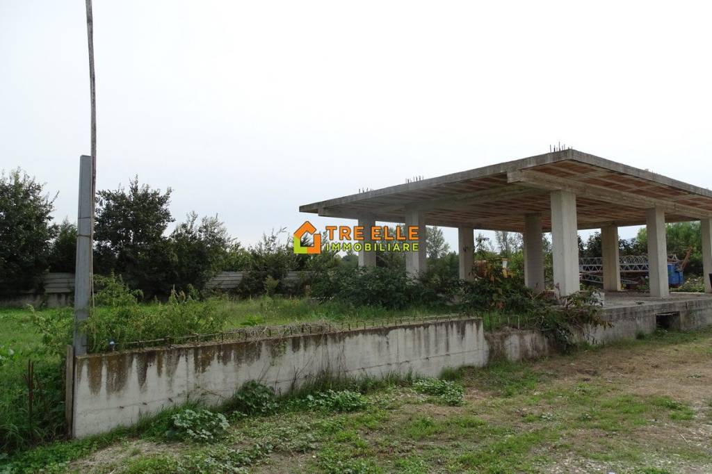 immagine annuncio 13 di 14