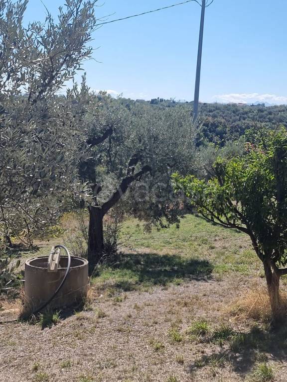 immagine annuncio 6 di 8
