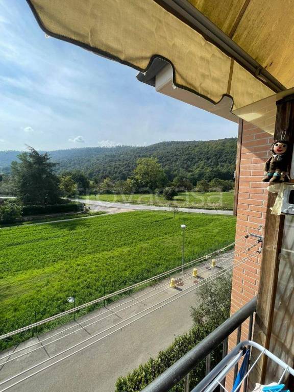 immagine annuncio 3 di 14