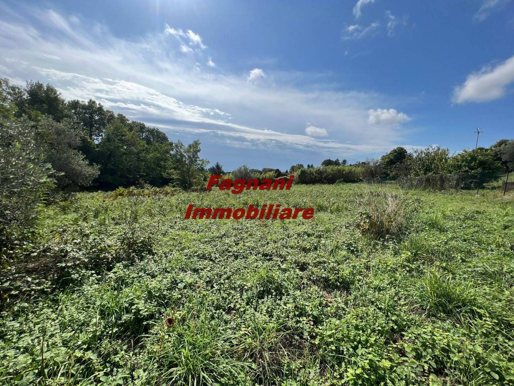 immagine annuncio 5 di 12