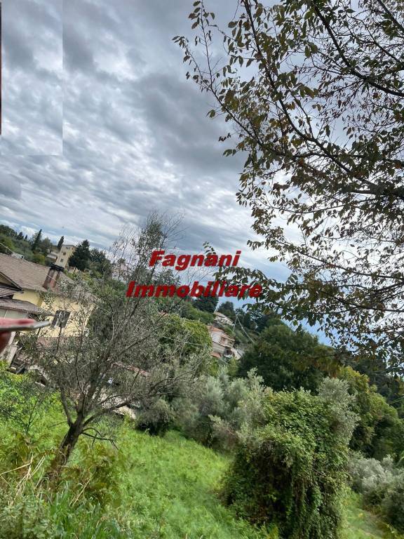 immagine annuncio 11 di 12