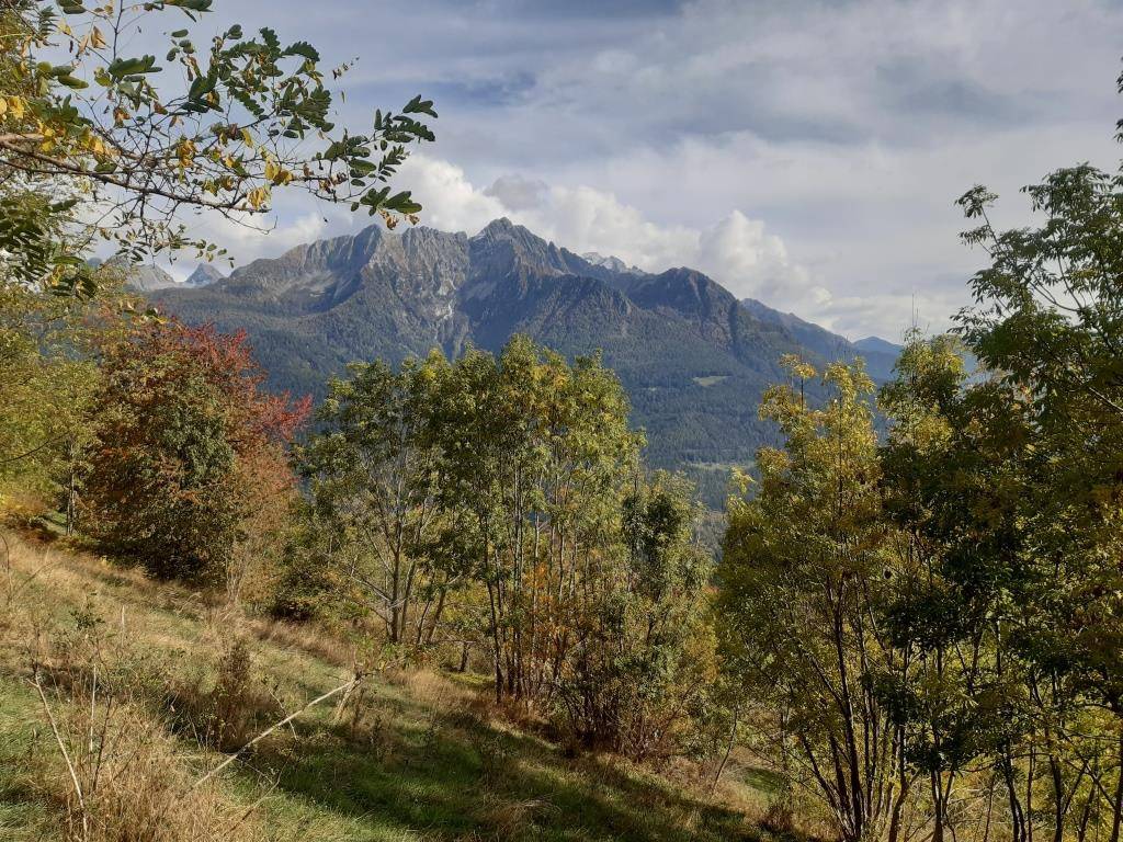 immagine annuncio 4 di 6