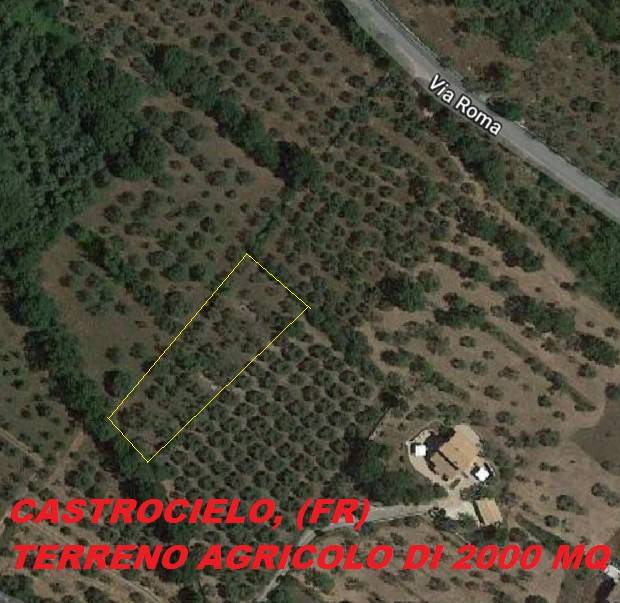 immagine annuncio 2 di 7