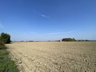 Terreno agricolo in vendita ad argenta via correggiolo colombarina